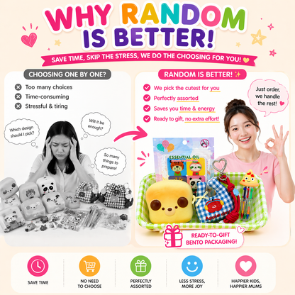 Random Squishy Bento Gift Set