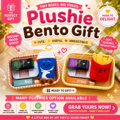 Plushie Bento Gifts
